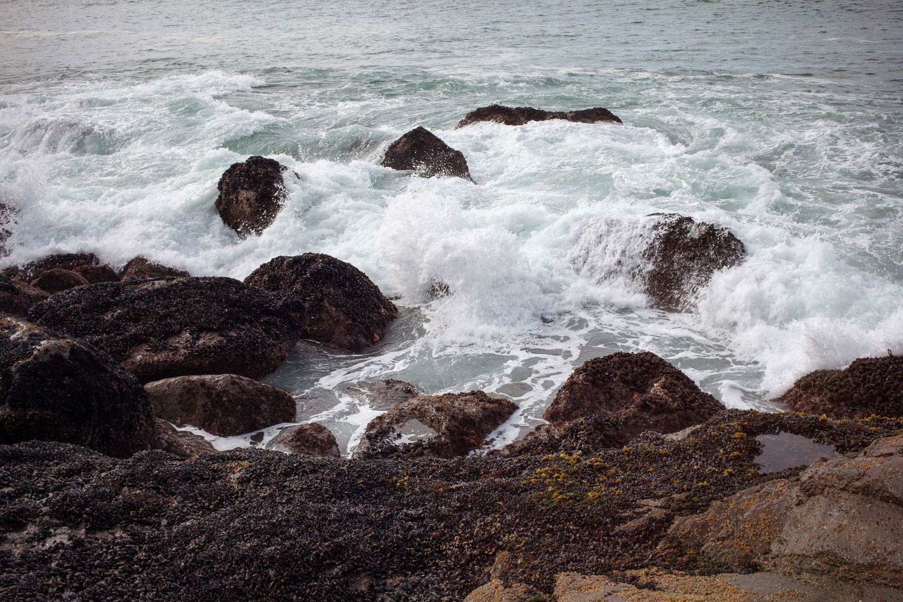 _MG_9021-Edit
